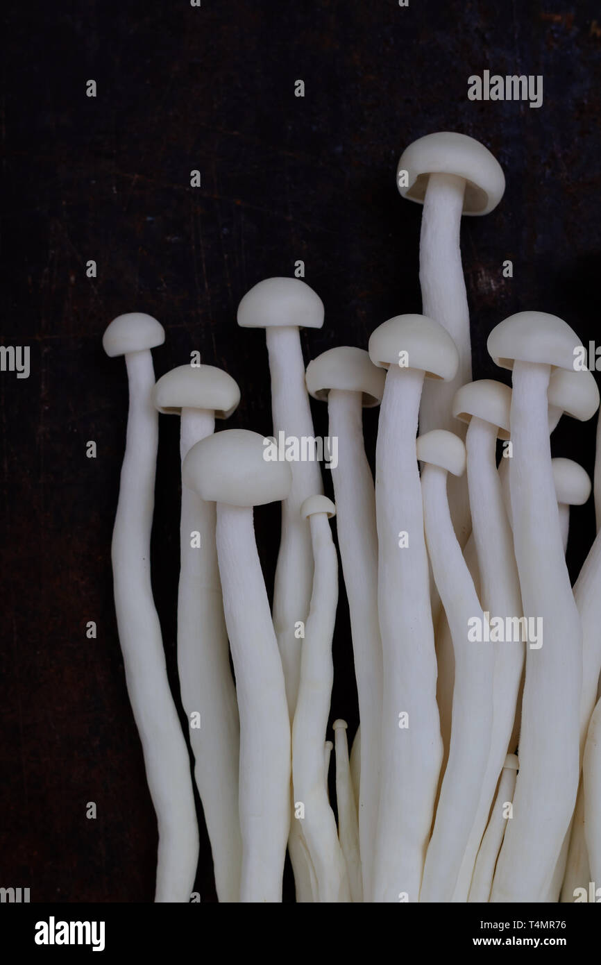 White Crab Mushroom Stock Photo Alamy