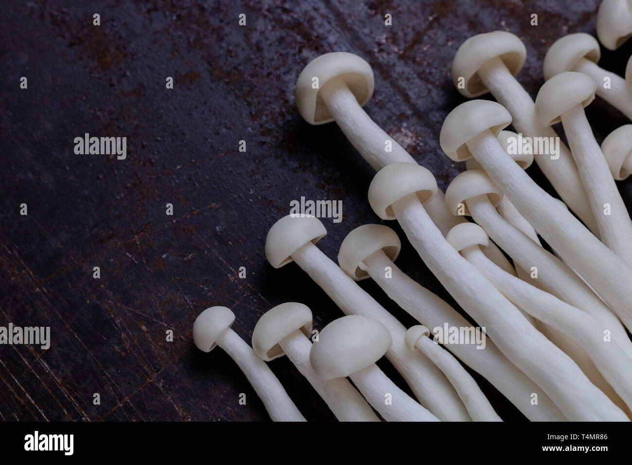 White Crab Mushroom High Resolution Stock Photography And Images Alamy