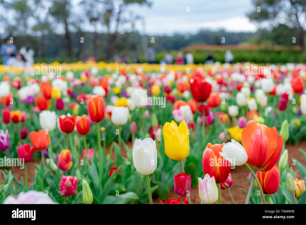 Inspire colours hires stock photography and images Alamy