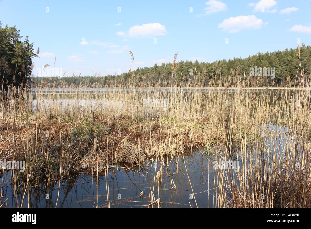 Suwalski Park Krajobrazowy (Suwałki Landscape Park) Stock Photo