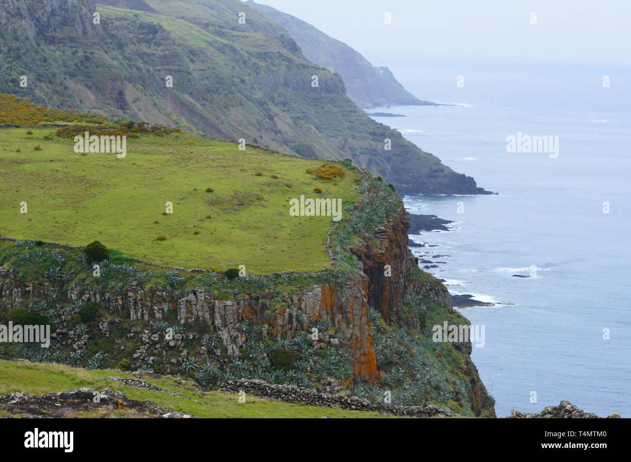 Basaltic columns in Santa Maria island, Azores: an outstanding natural area now threatened by the installation of a satellite-launching spaceport Stock Photo