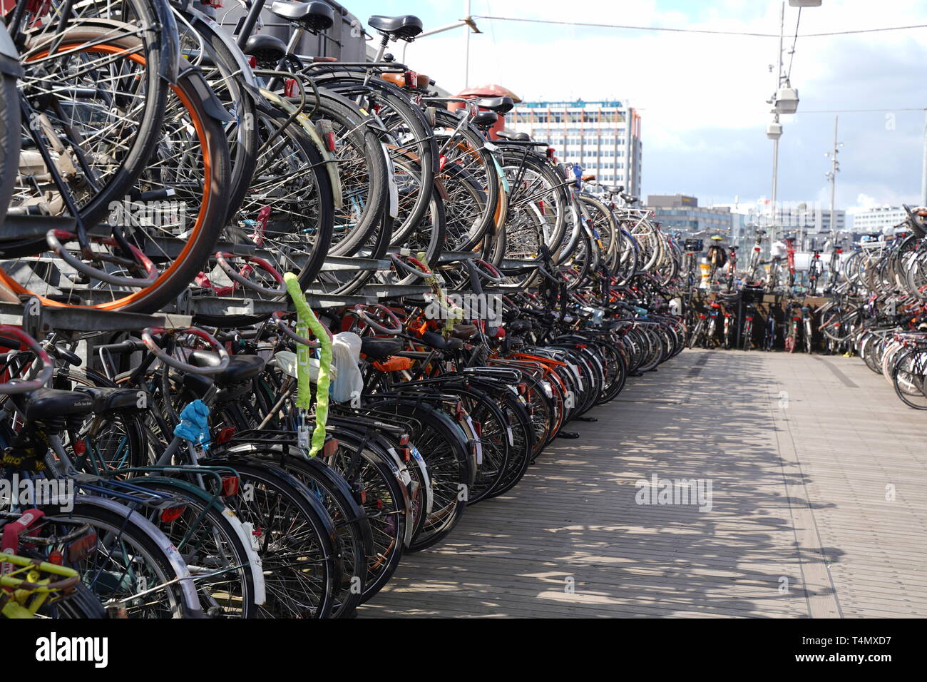 Bike storage in Amsterdam Stock Photo Alamy