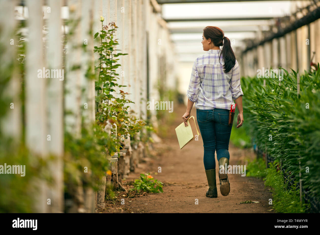 Teenage girl working in a greenhouse Stock Photo - Alamy