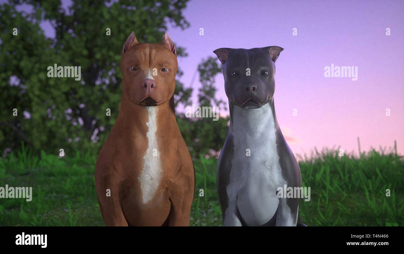 CHANCE, 2017. © James Young Entertainment / courtesy Everett Collection