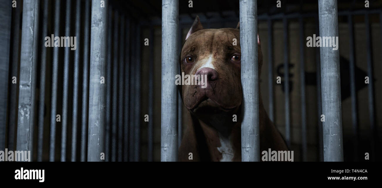 CHANCE, 2017. © James Young Entertainment / courtesy Everett Collection