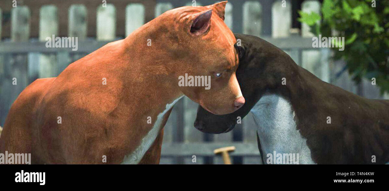 CHANCE, 2017. © James Young Entertainment / courtesy Everett Collection