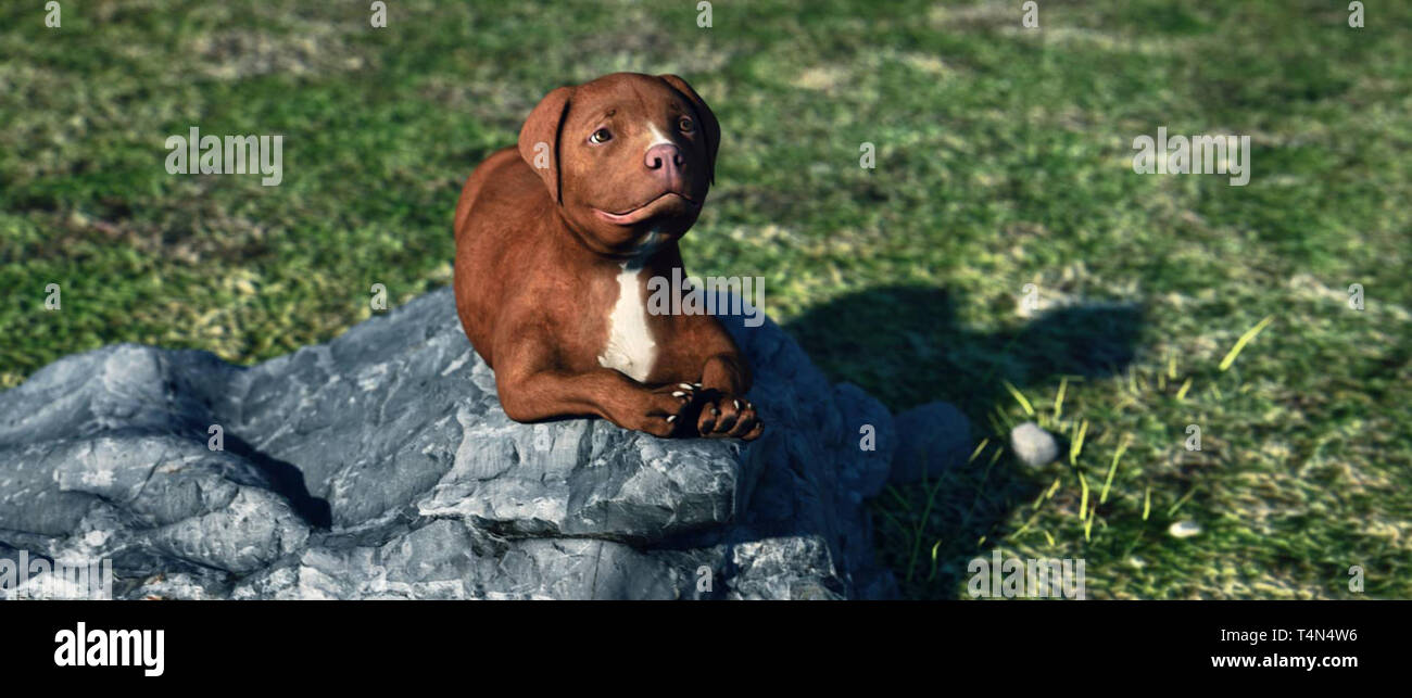 CHANCE, 2017. © James Young Entertainment / courtesy Everett Collection