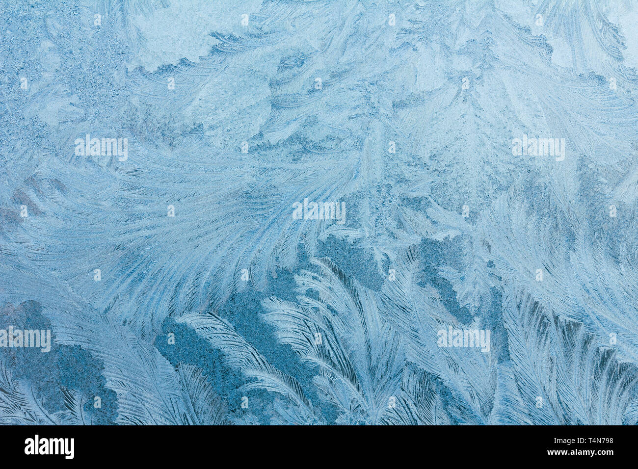 Frosty ice pattern on winter window glass Stock Photo - Alamy