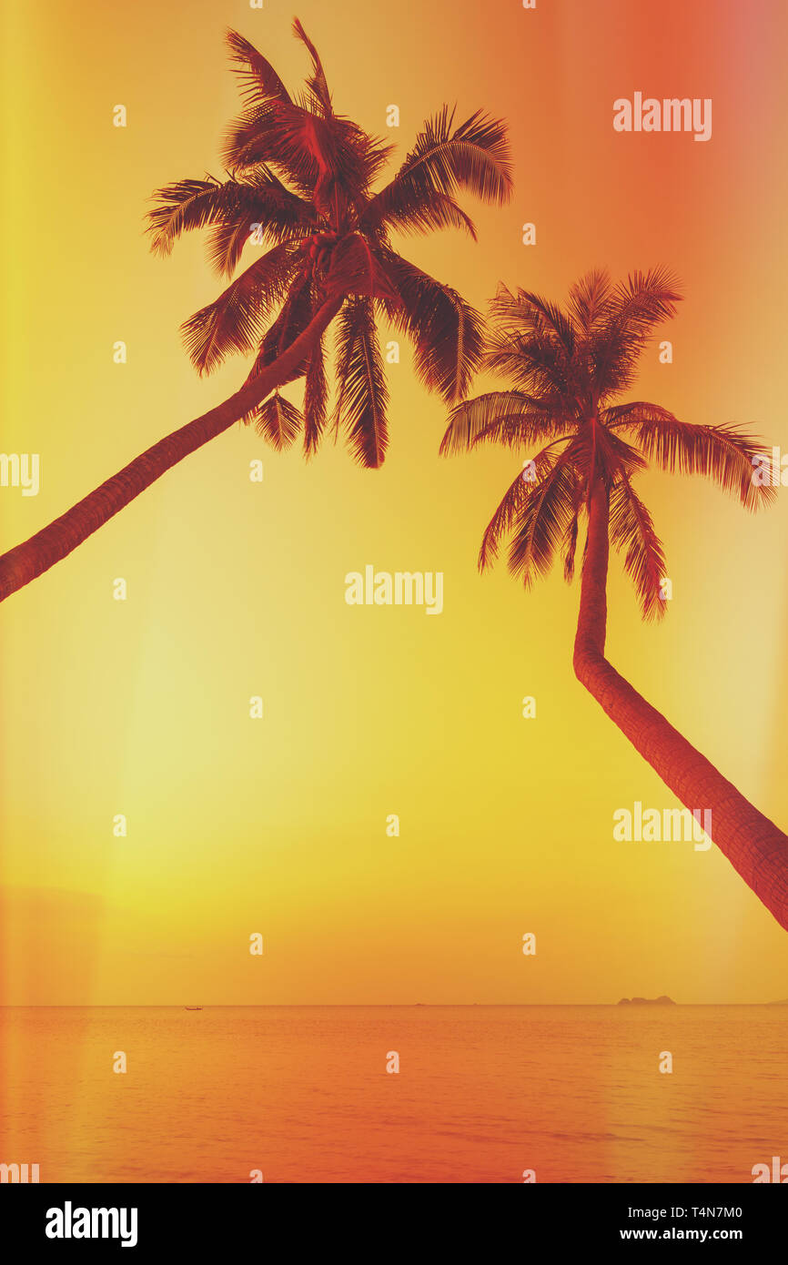 Two palm trees on sunset hi-res stock photography and images - Alamy