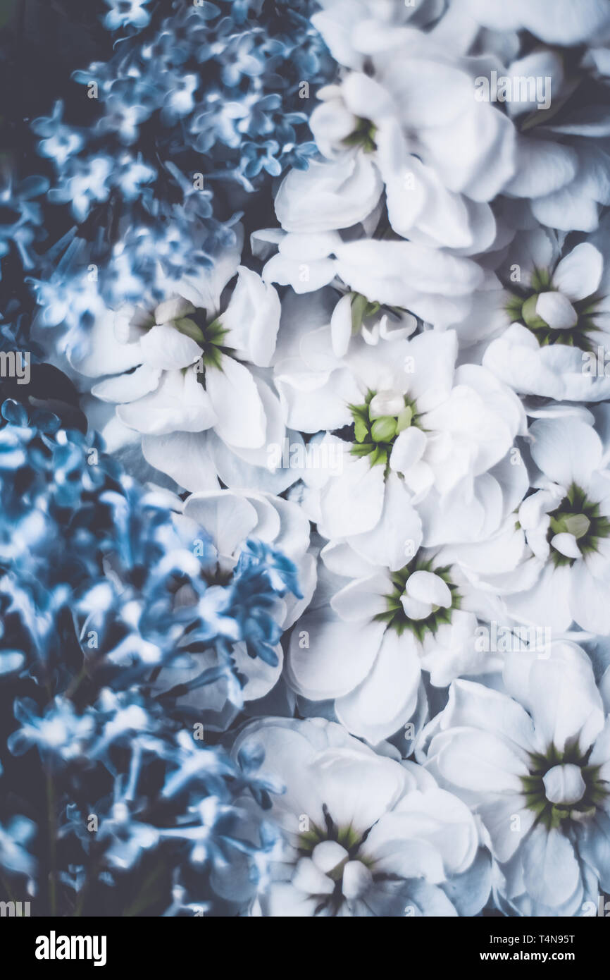 Botanical backdrop, nature and gardening concept Vintage flowers in a