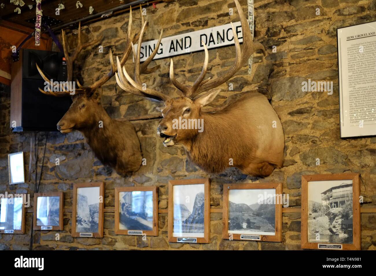 Iron Door Saloon Taxidermy Stock Photo