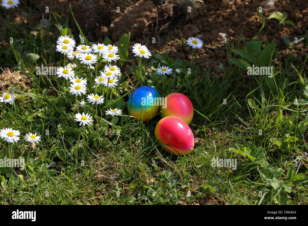 Easter traditions. Compositions with painted Easter eggs. Stock Photo