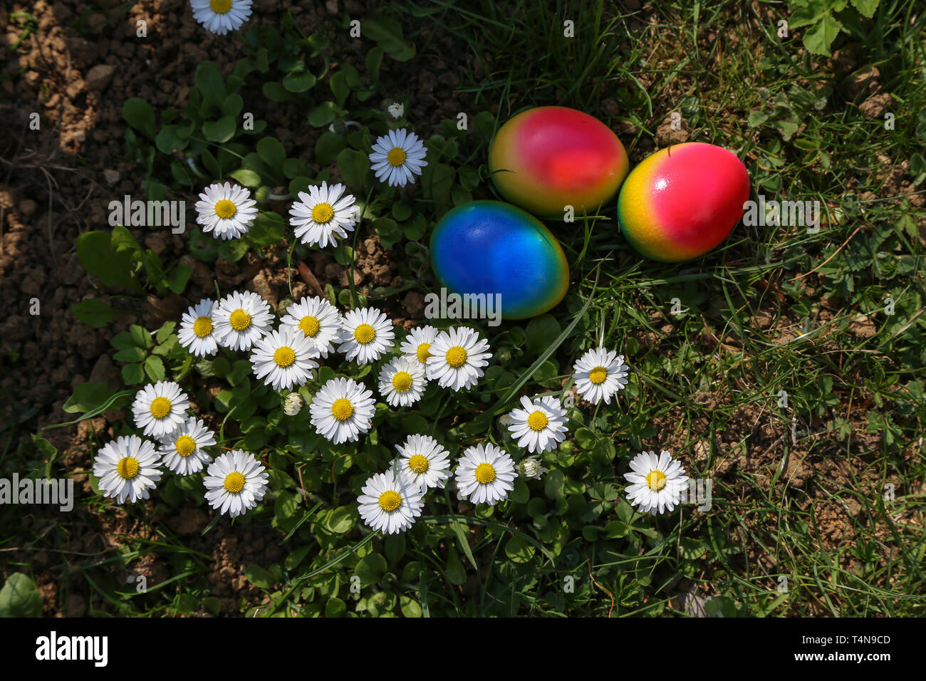 Easter traditions. Compositions with painted Easter eggs. Stock Photo