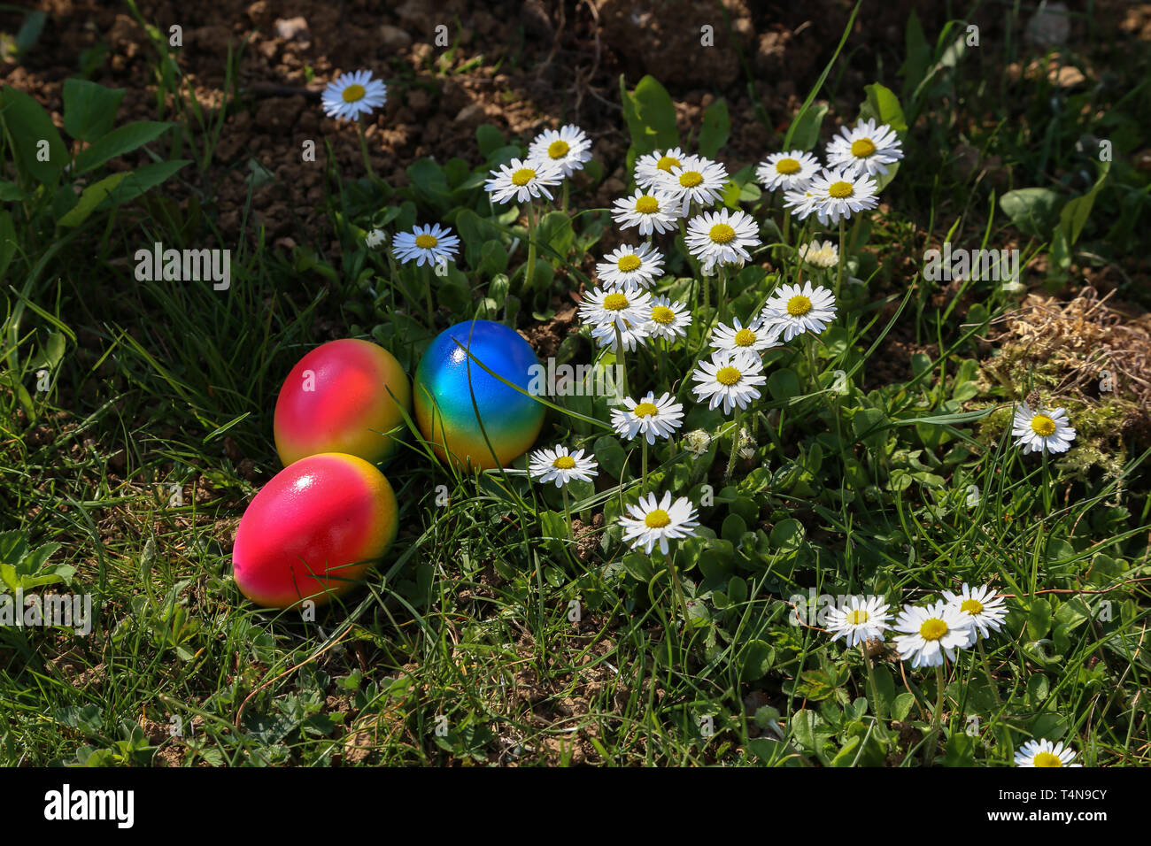 Easter traditions. Compositions with painted Easter eggs. Stock Photo