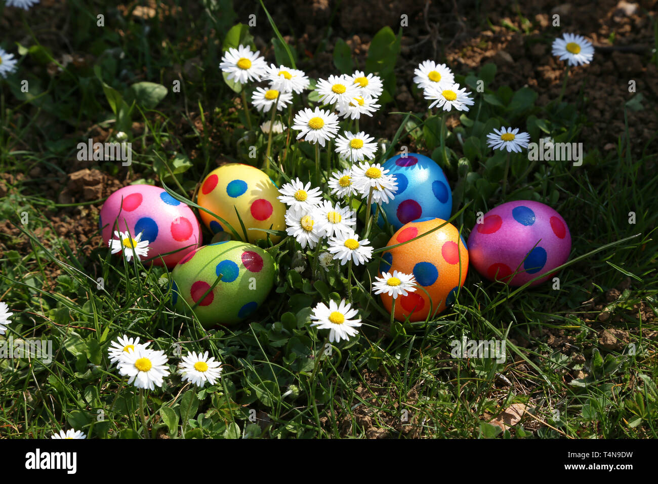 Easter traditions. Compositions with painted Easter eggs. Stock Photo