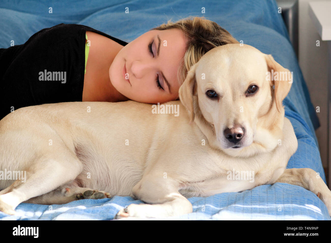 cute dog in bed