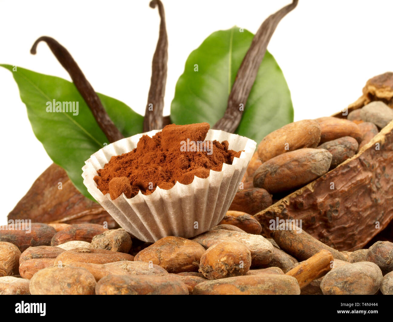 Dried Cacao Fruit with Vanilla on white Background Stock Photo Alamy