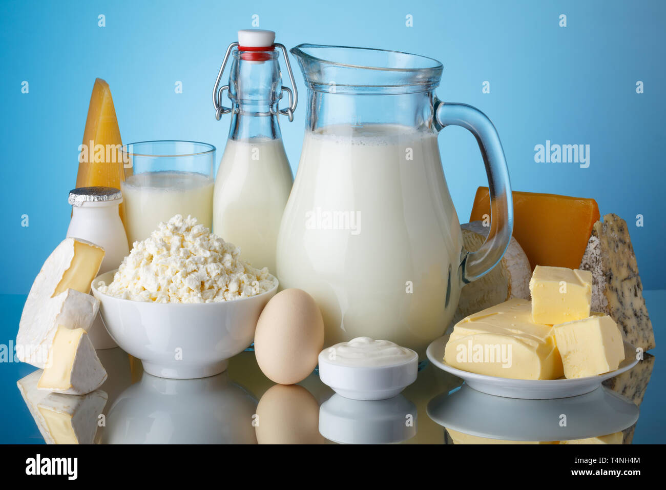 Dairy products, milk, cheese, egg, yogurt, sour cream, cottage cheese and butter on blue background still life Stock Photo
