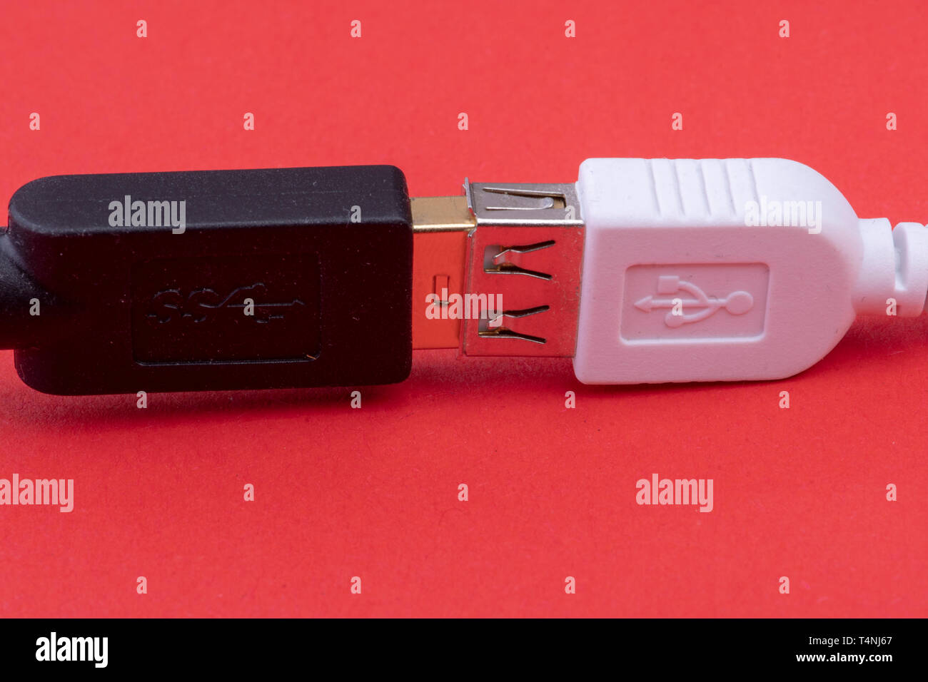 data cable extension plug white and black cable together on red background Stock Photo
