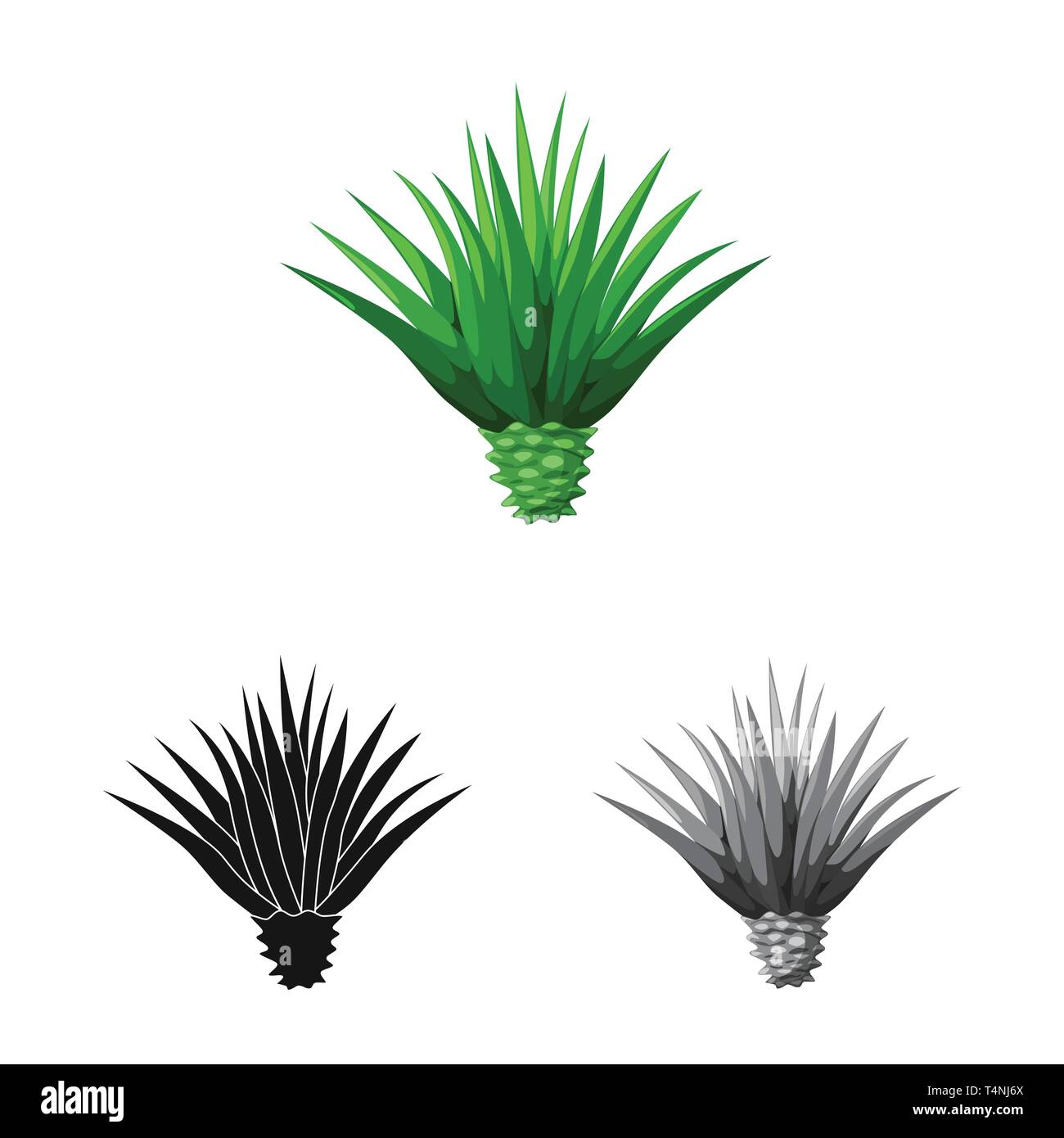 Vector illustration of agave and plant logo. Collection of agave and ...