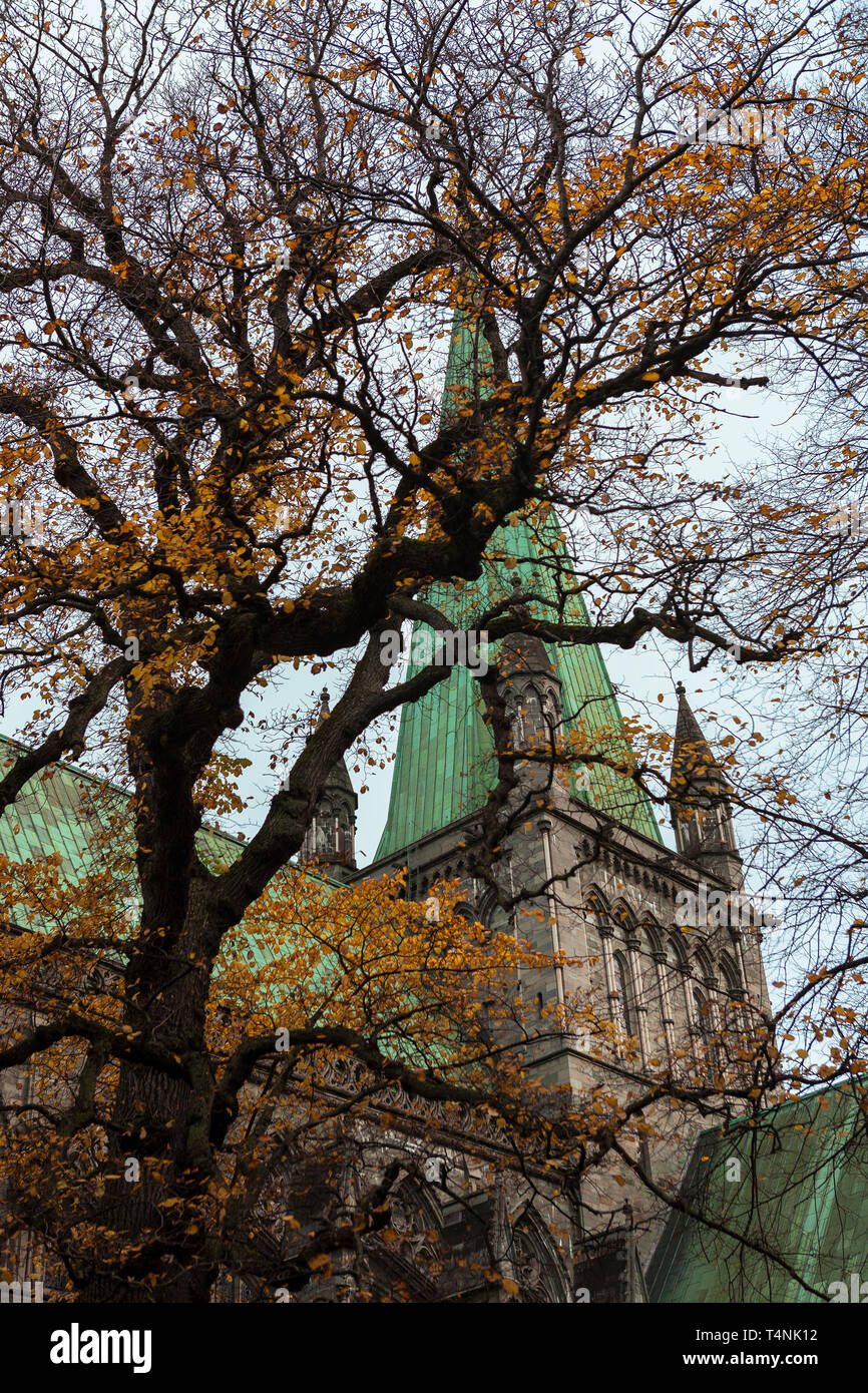 Nidaros Cathedral amid vivid Autumn colour, Trondheim, Trondelag, Norway Stock Photo
