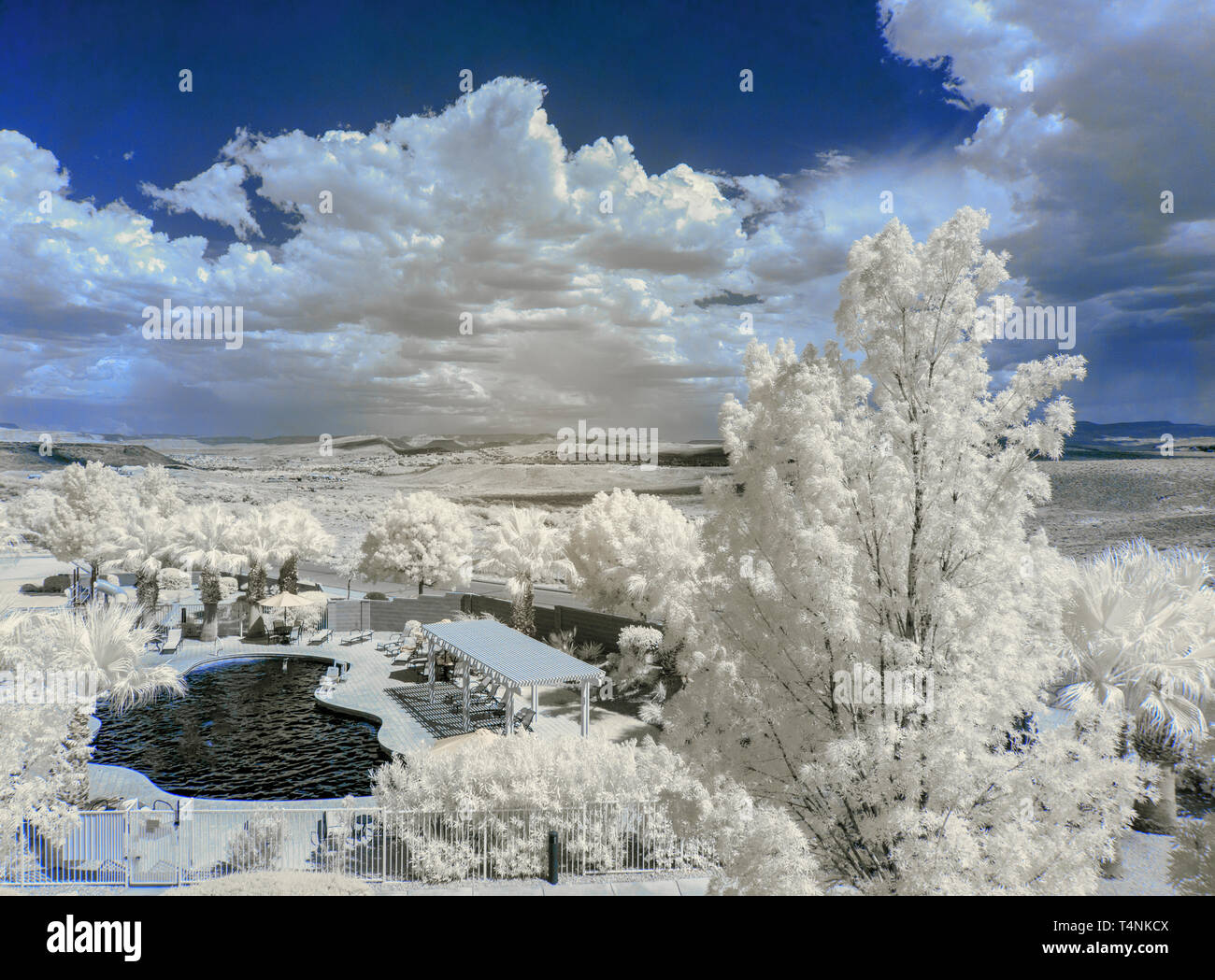Frosty covered trees and icy swimming pool under blue skies with white clouds. Winter snow. Stock Photo