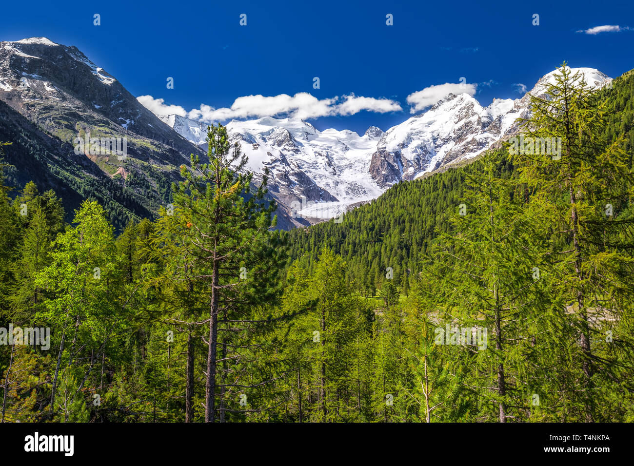 Tschierva Glacier and Bernina mountain from Corvatsch, canton of Graubunden, Grisons, Switzerland, Europe Stock Photo