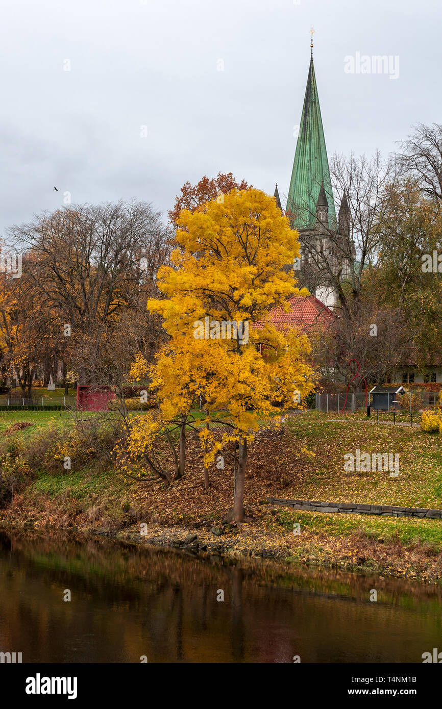 Nidaros Cathedral amid vivid Autumn colour, Trondheim, Trondelag, Norway Stock Photo