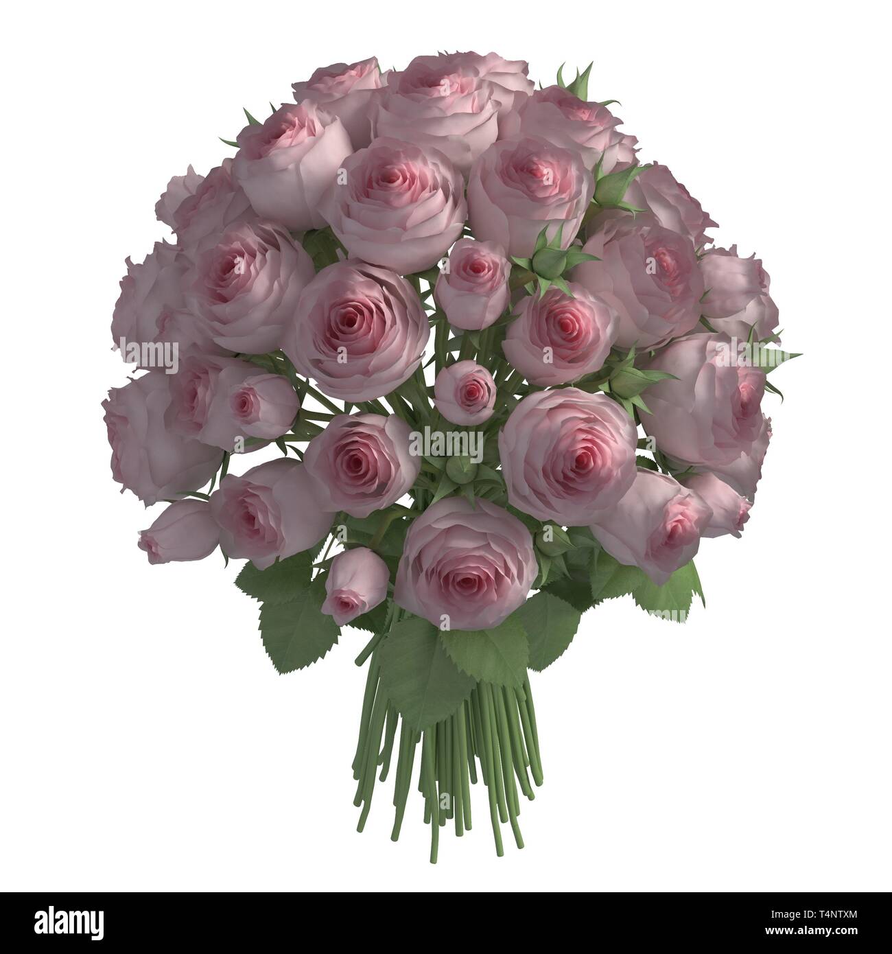 Flowers 3d illustration isolated on the white background Stock Photo ...