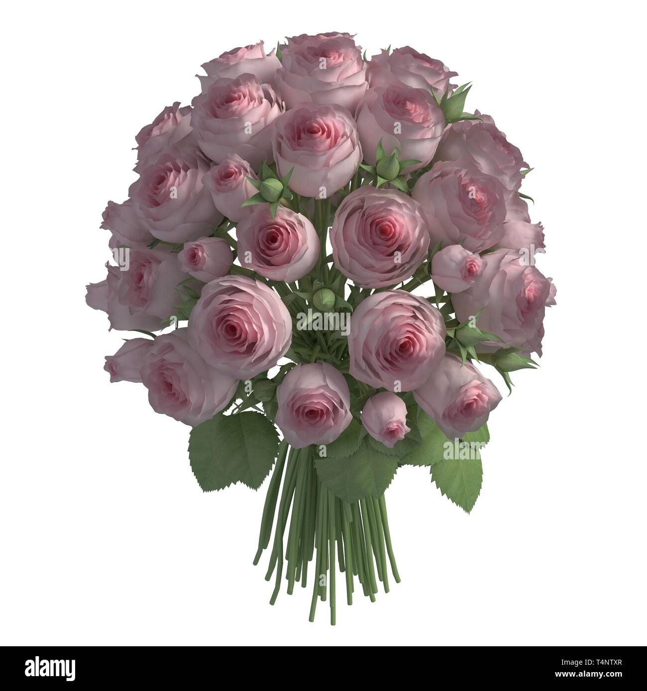 Flowers 3d illustration isolated on the white background Stock Photo ...
