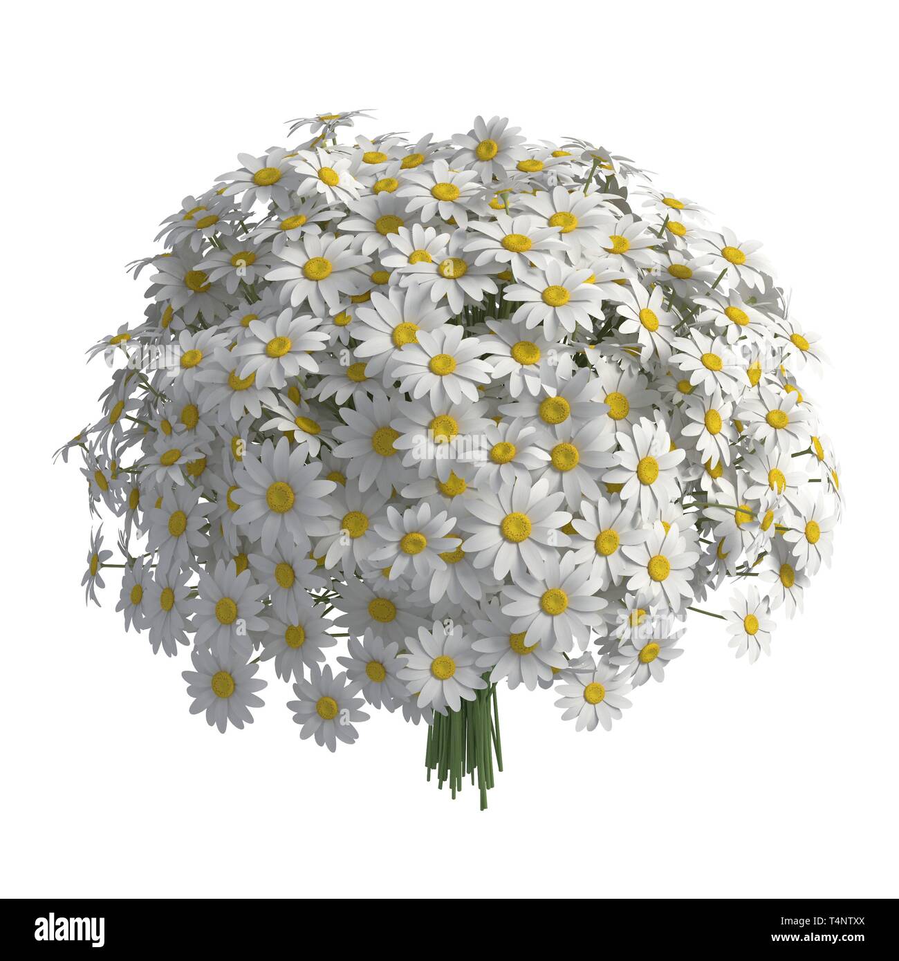 Flowers 3d illustration isolated on the white background Stock Photo ...