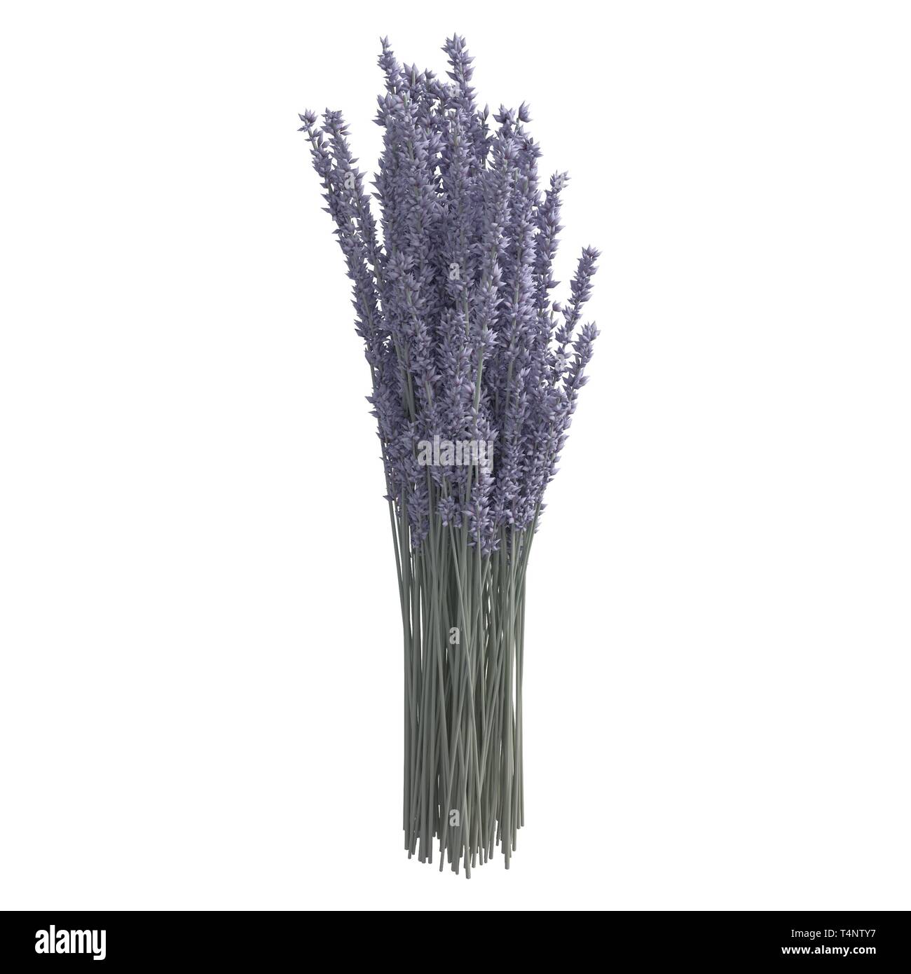 Flowers 3d illustration isolated on the white background Stock Photo ...