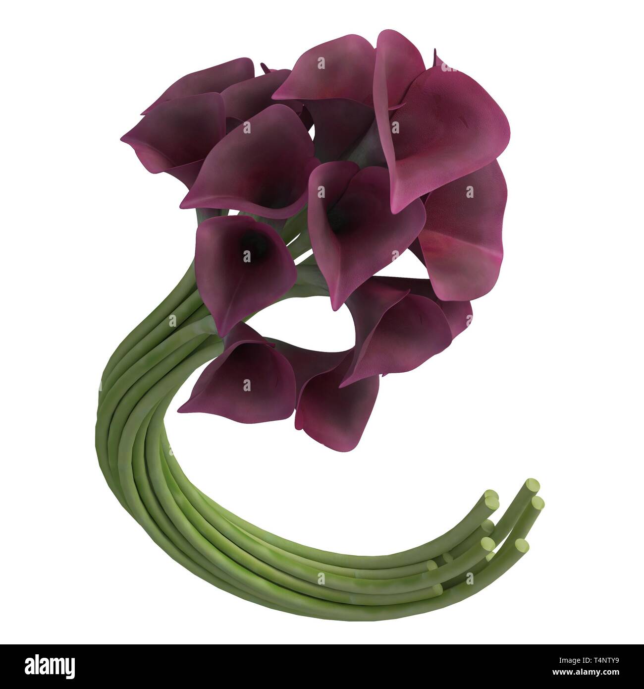 Flowers 3d illustration isolated on the white background Stock Photo ...