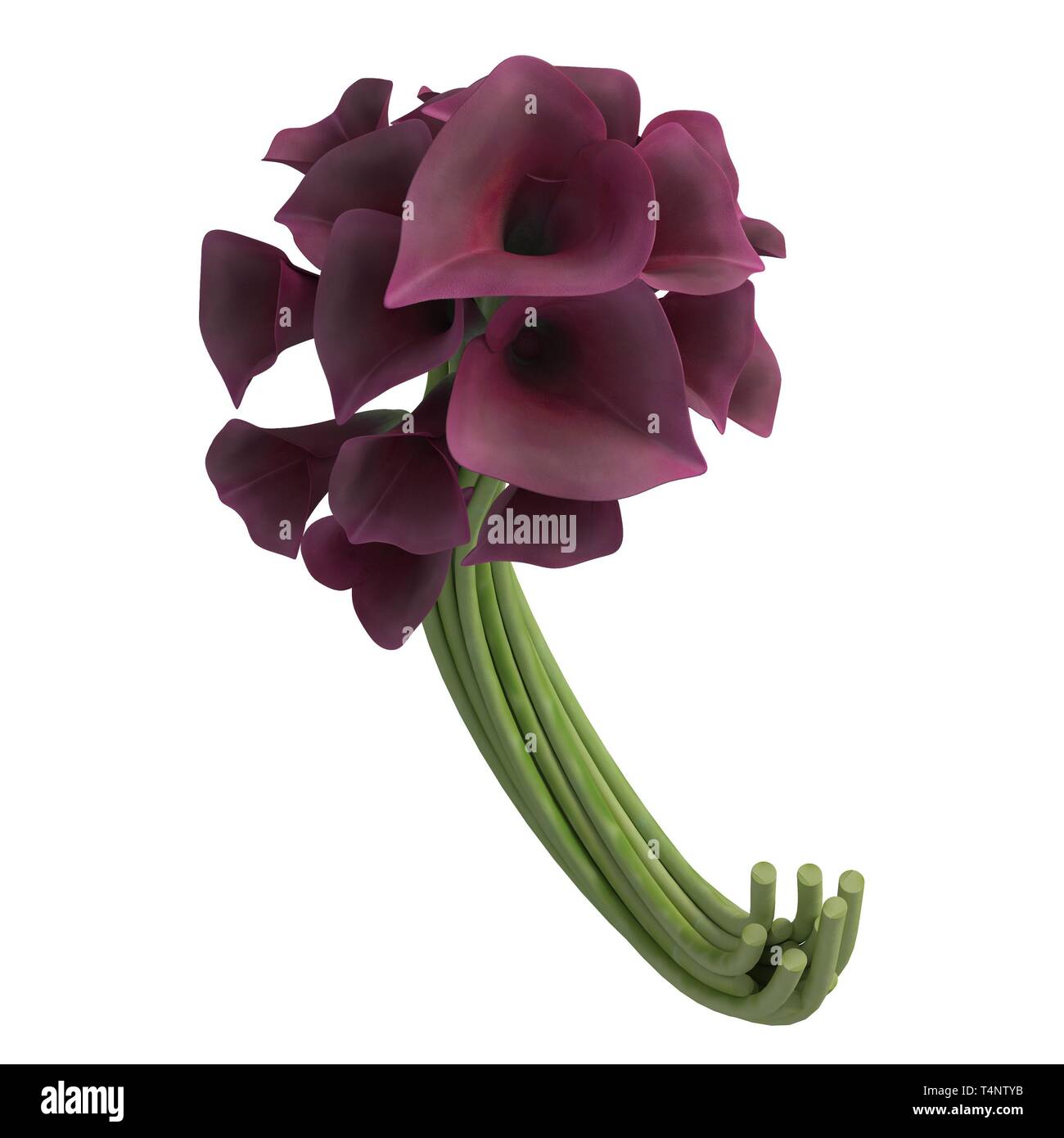Flowers 3d illustration isolated on the white background Stock Photo ...