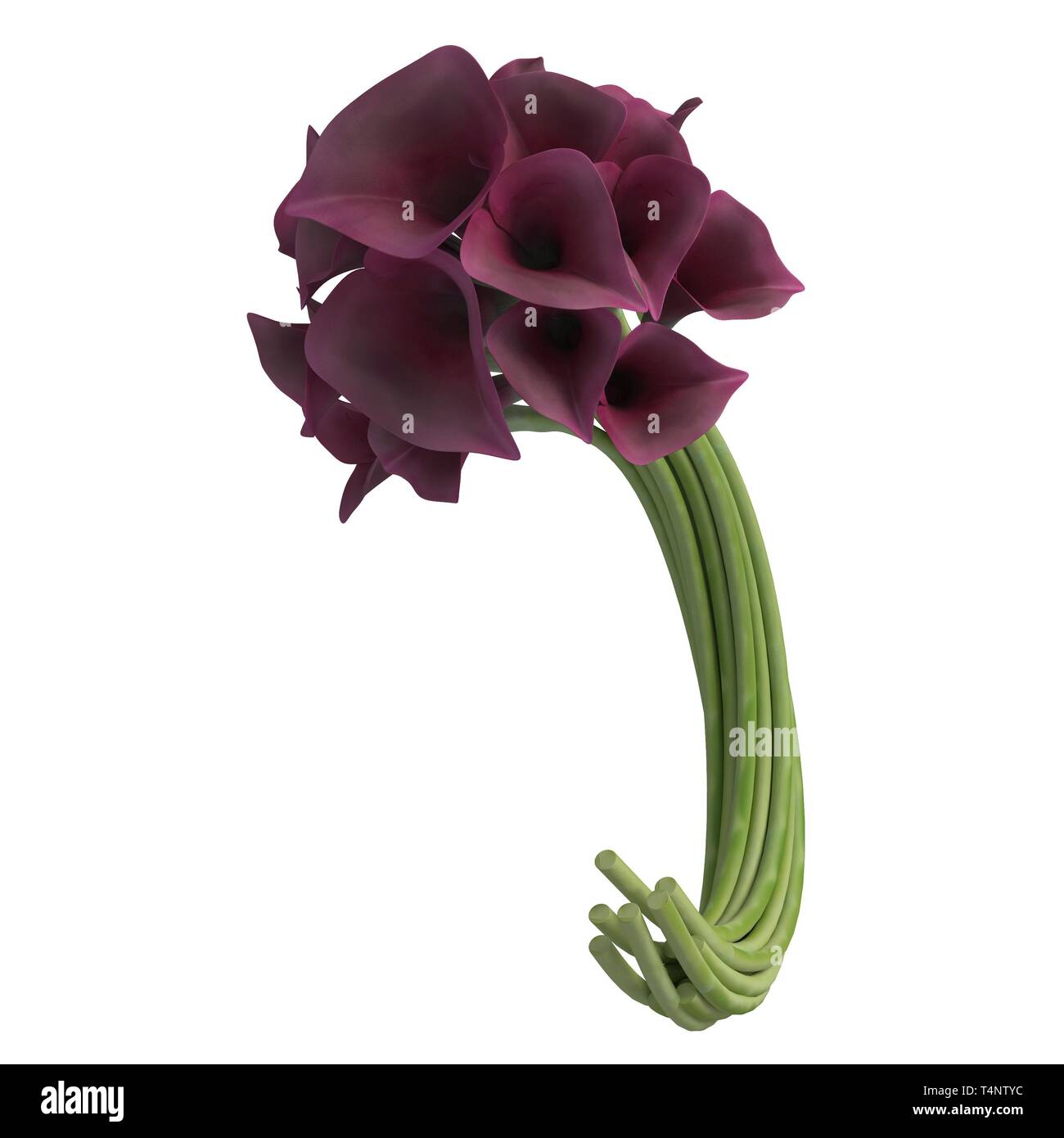 Flowers 3d illustration isolated on the white background Stock Photo ...