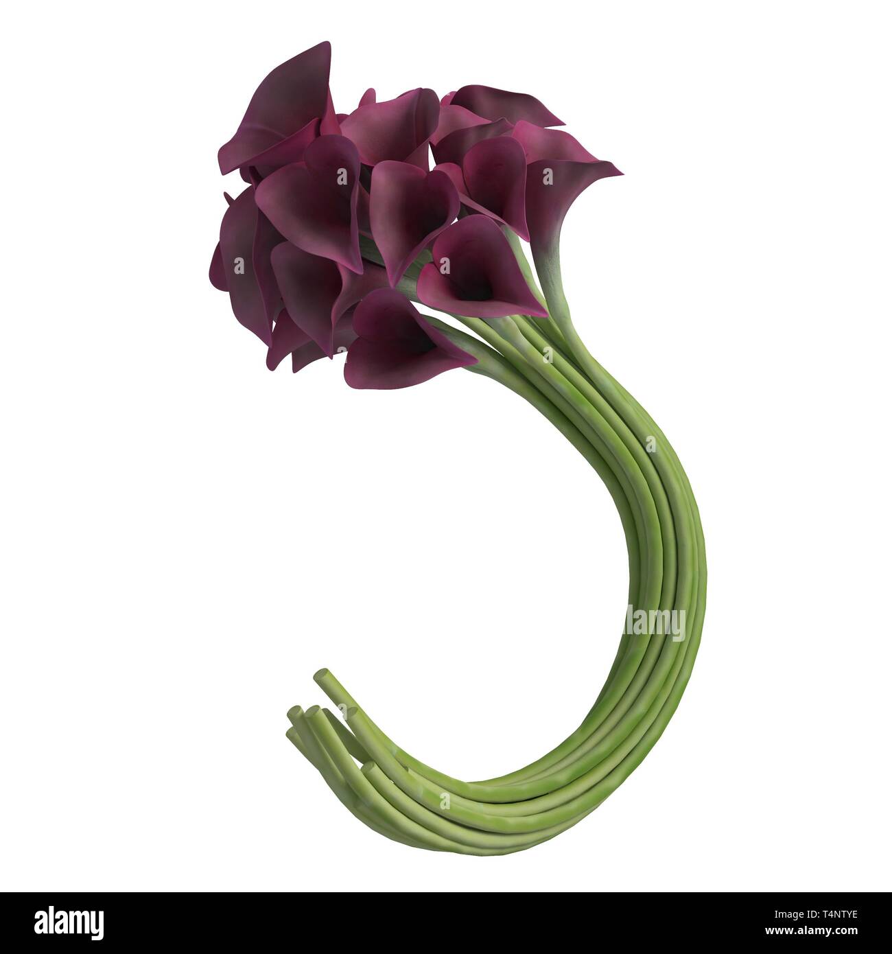 Flowers 3d illustration isolated on the white background Stock Photo ...