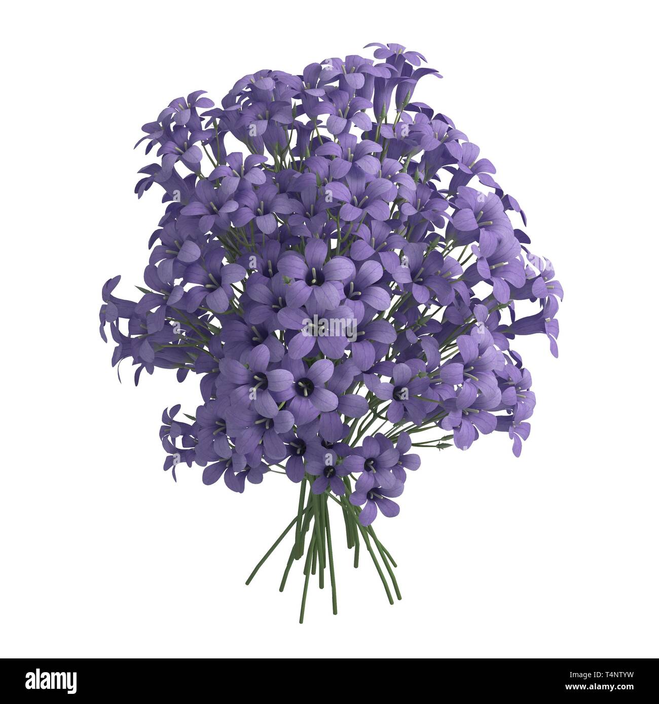 Flowers 3d illustration isolated on the white background Stock Photo ...