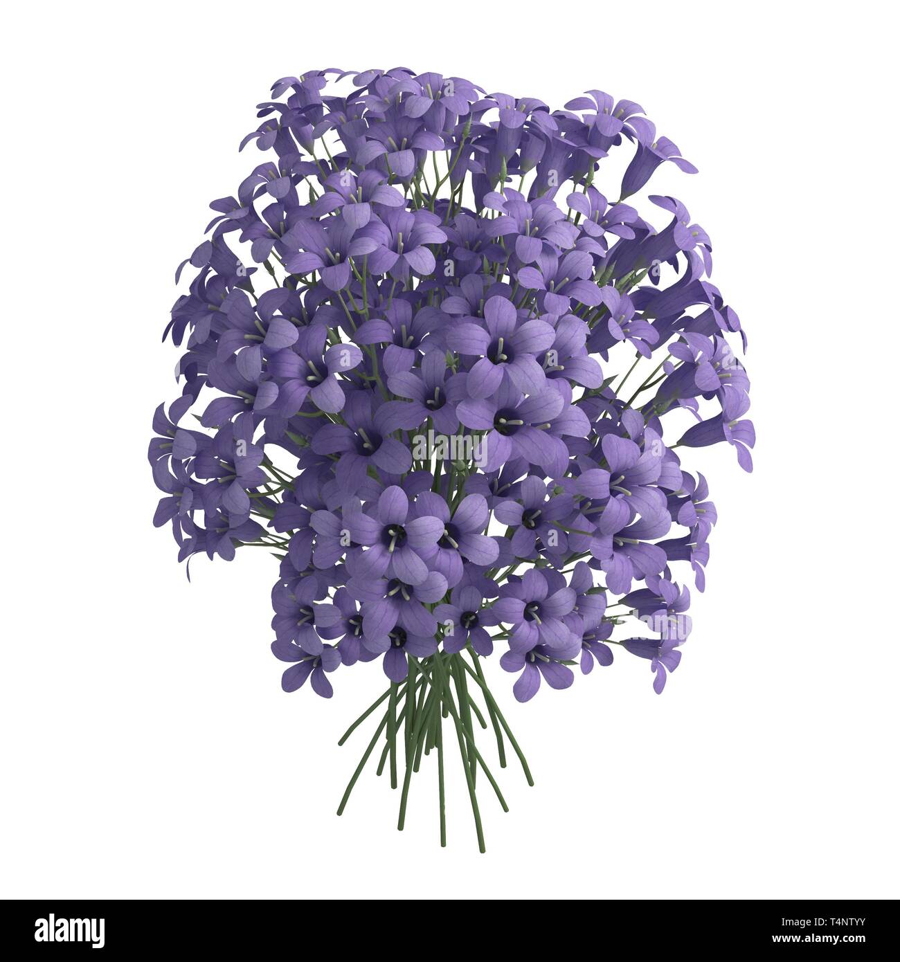 Flowers 3d illustration isolated on the white background Stock Photo ...
