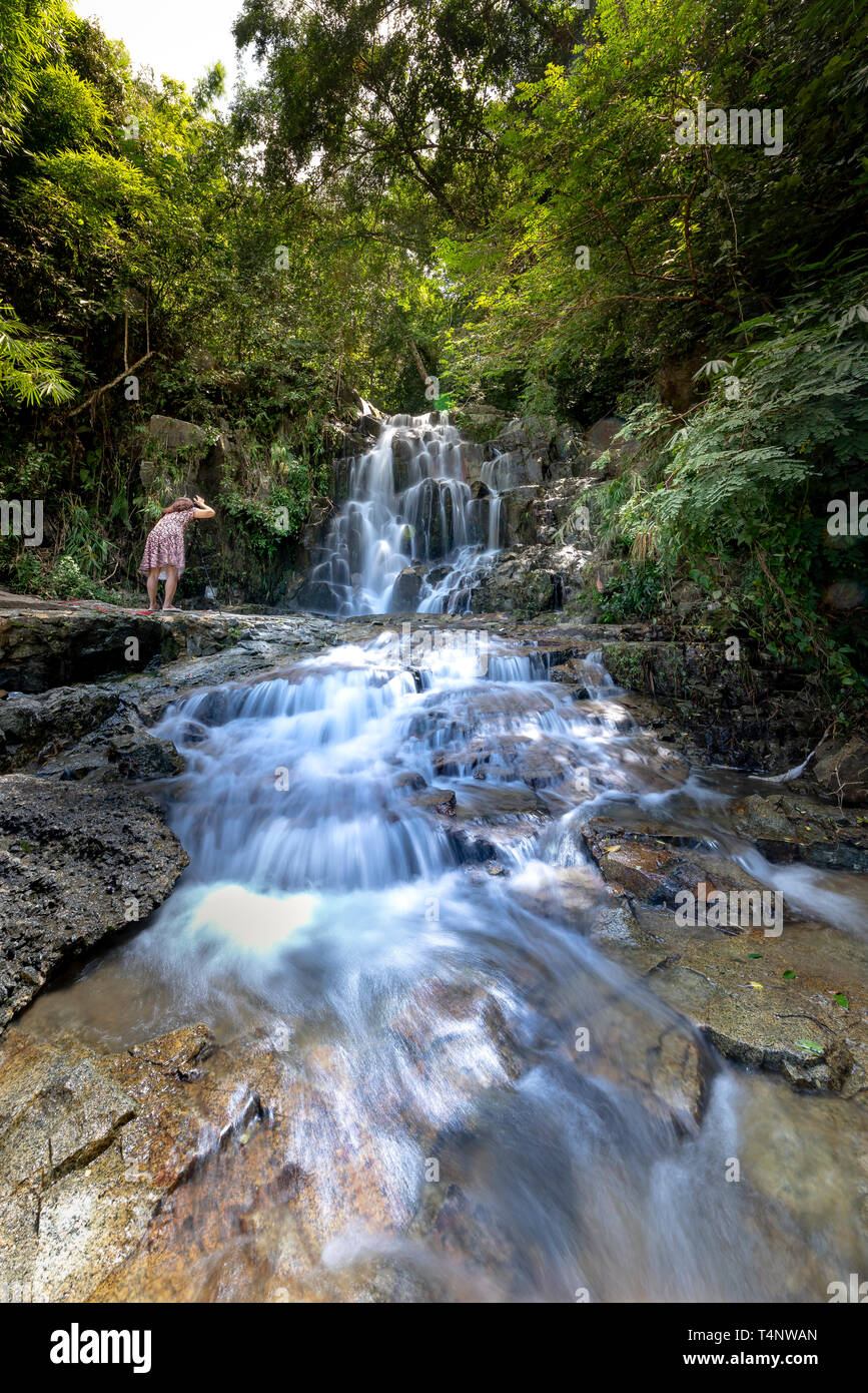 Jungle in vietnam hi-res stock photography and images - Alamy