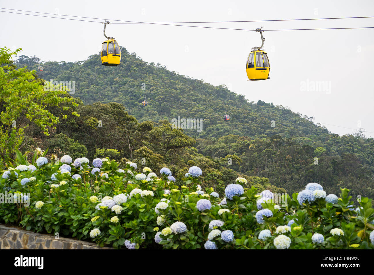 Da Nang, Vietnam - Apr 2, 2016: Cable car with flowers on foreground for transportation to Ba Na Hills site, 30km from Da Nang city Stock Photo