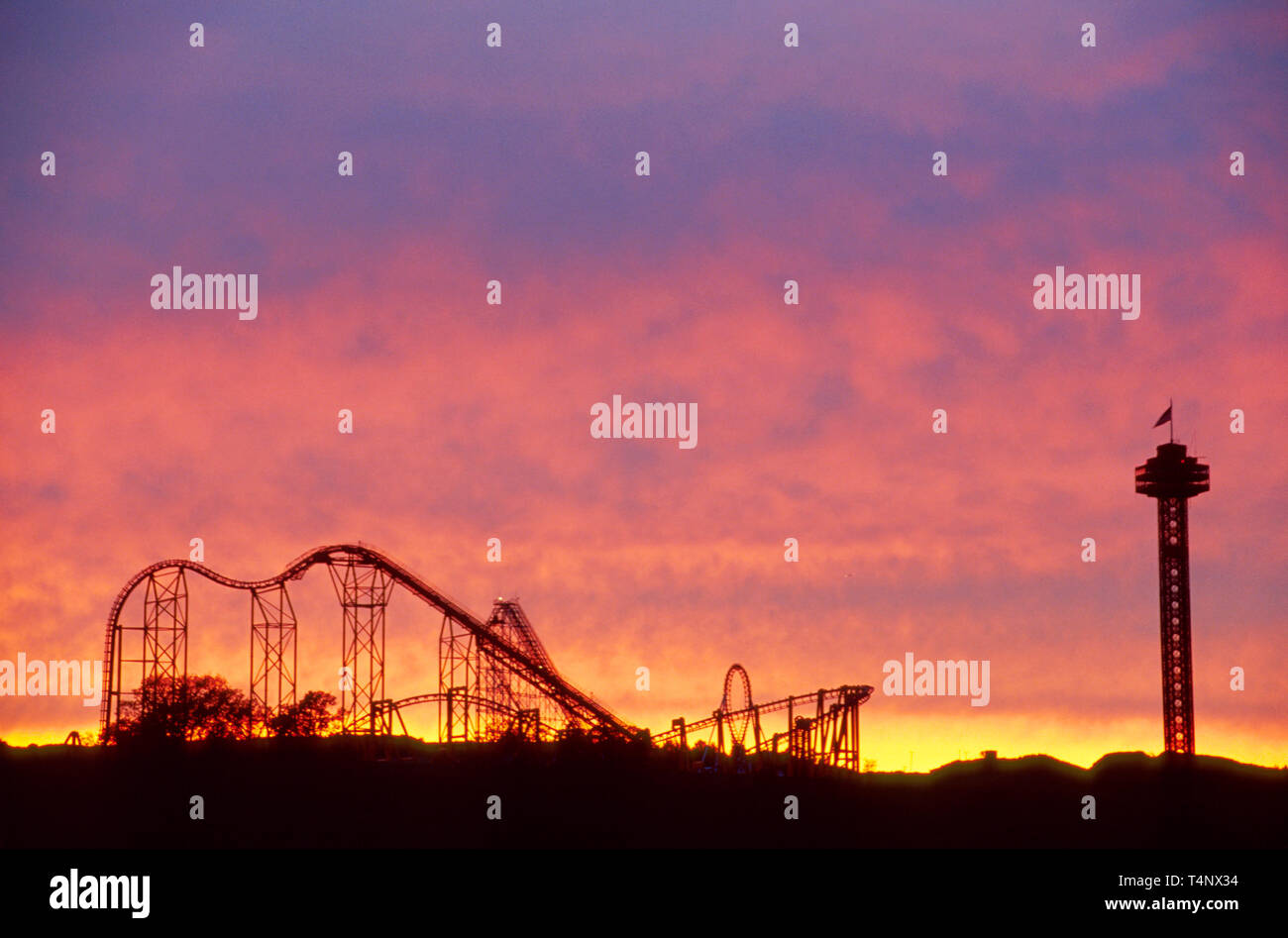 California,Southern California,Pacific,Santa Clarita,roller coaster silhouetted against sunset,Six Flags Magic Mountain theme park,largest concentrati Stock Photo