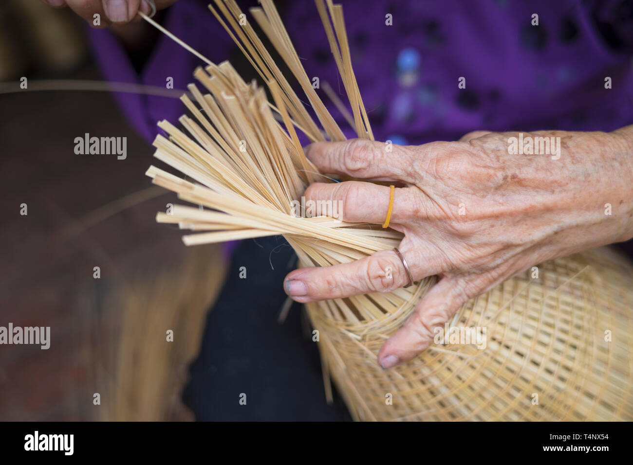 Bamboo Fish Trap High Resolution Stock Photography and Images - Alamy
