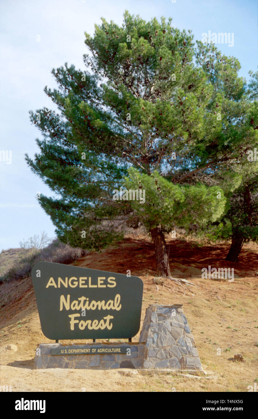 California,Southern California,Pacific,Santa Clarita,Angeles National Forest,information,broadcast,publish,message,advertise,market,Lake Hughes Road,h Stock Photo