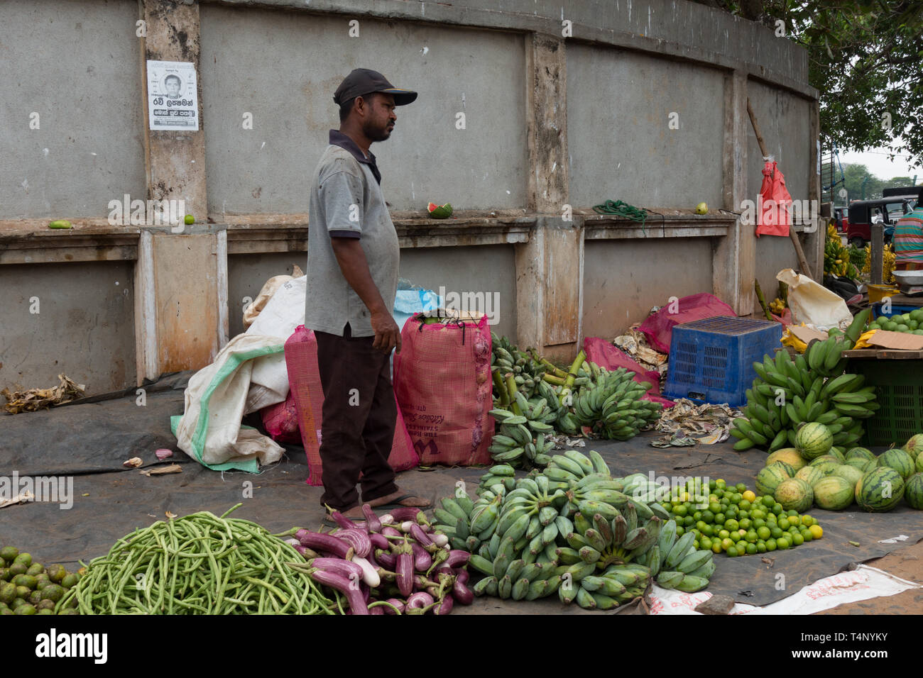 Stall selling vegetables etc near the Fish Market. Colombo. Sri Lanka Stock Photo Alamy