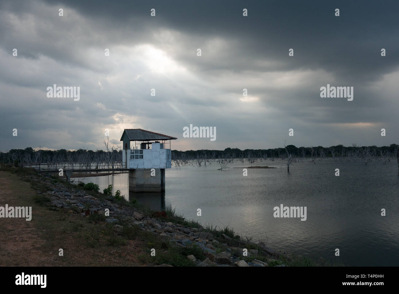 Weheragala Reservoir in Yala national park in Sri Lanka Stock Photo