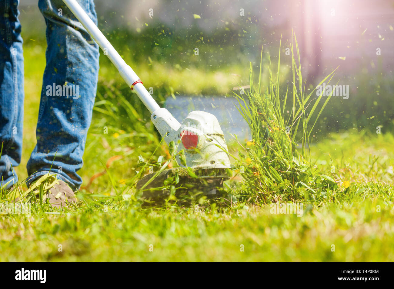 Man trimming fresh grass using brush cutter Stock Photo Alamy