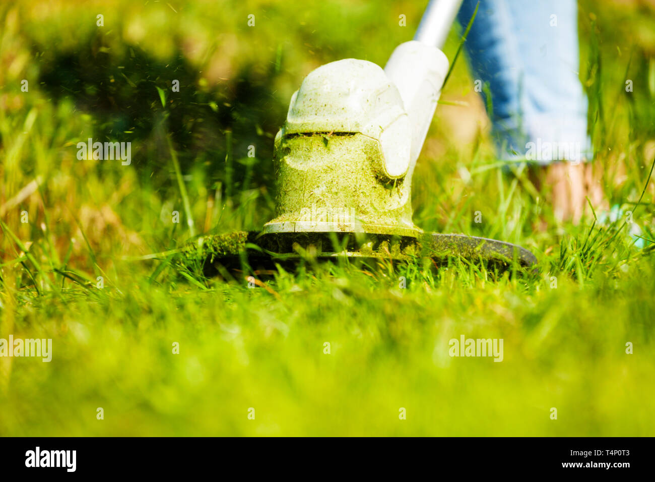 Weed wacker blade cutting green grass leaves Stock Photo Alamy