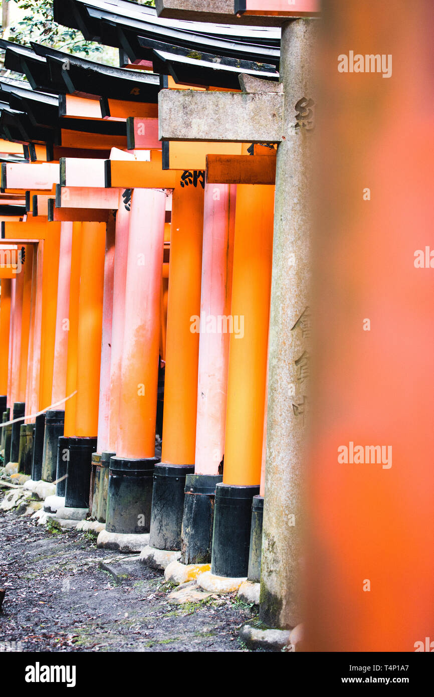Orange gates and objects at Fushimi InariTaisha Shrine in Kyoto, Japan Stock Photo Alamy