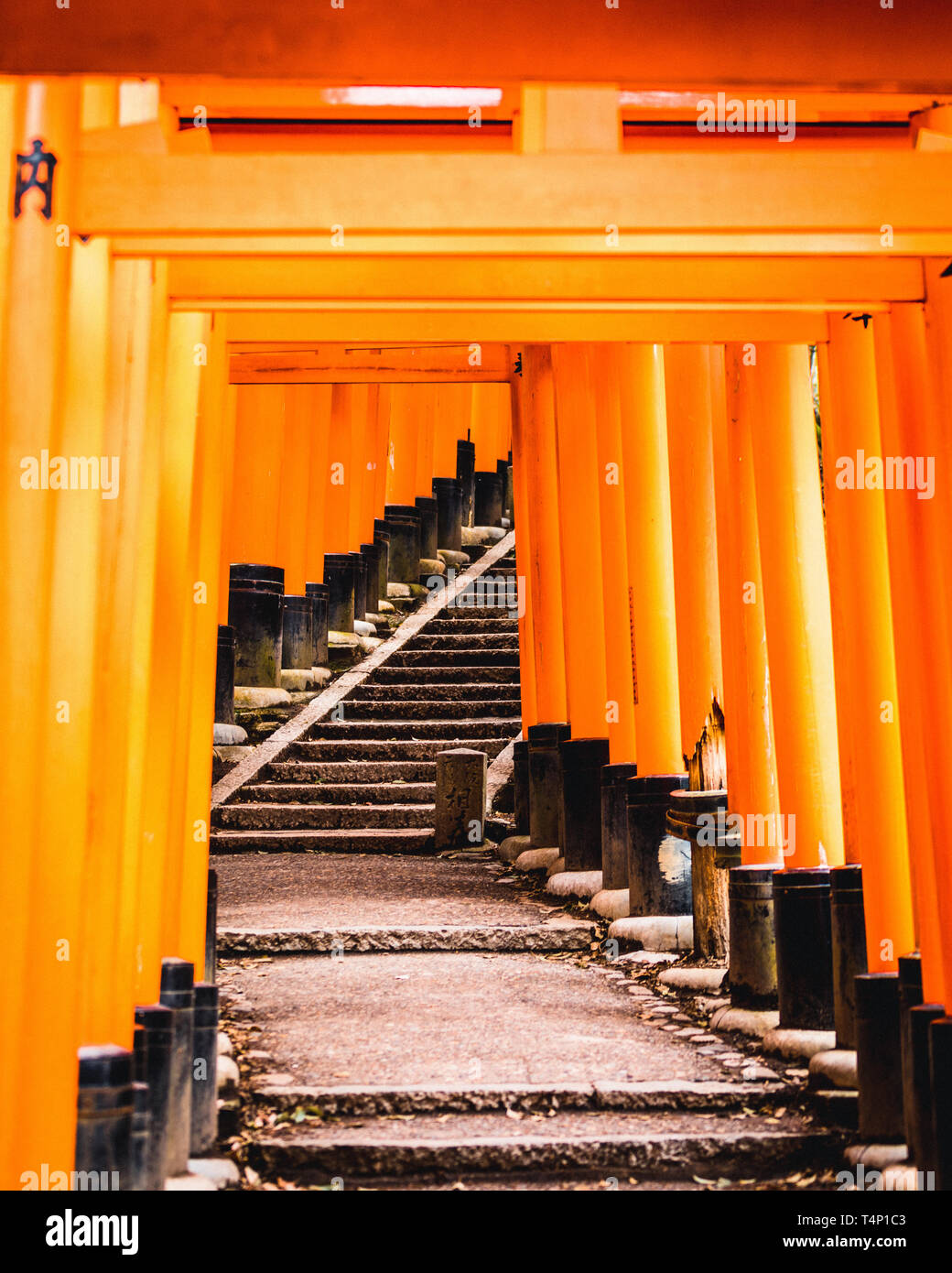 Orange gates and objects at Fushimi InariTaisha Shrine in Kyoto, Japan Stock Photo Alamy