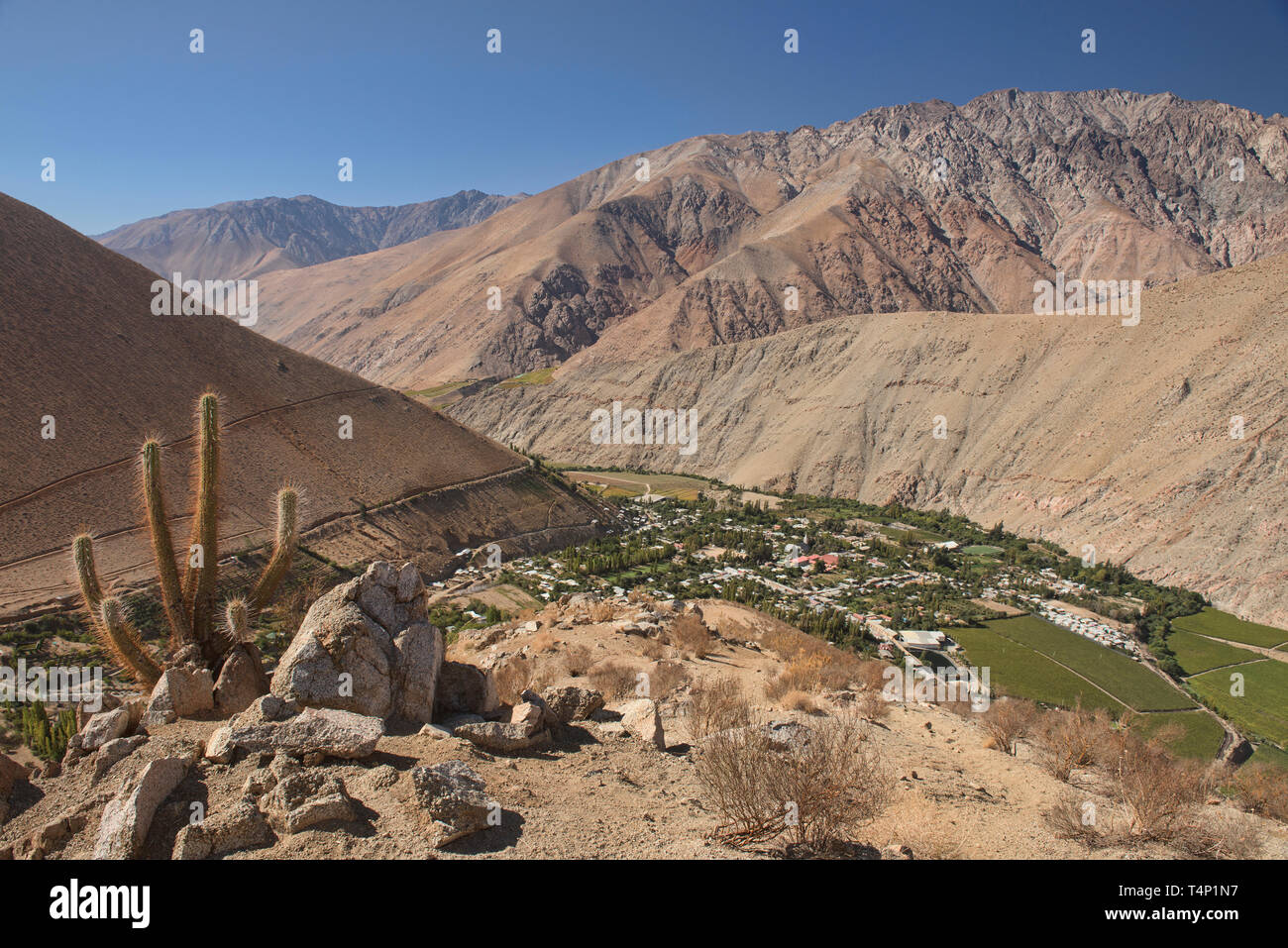 View of scenic Pisco Elqui town in the Elqui Valley, Chile Stock Photo
